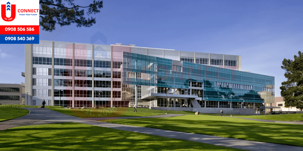 Đại học San Francisco State University, bang California – Mỹ